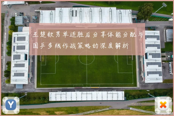 王楚钦男单连胜后分享体能分配与国乒多线作战策略的深度解析